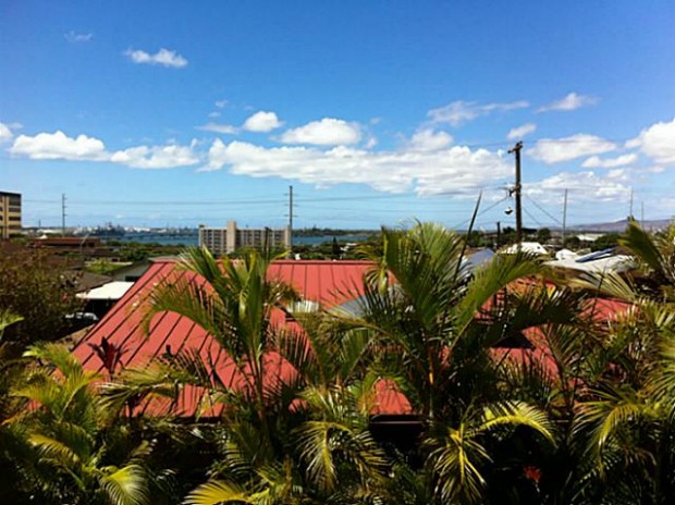 Photo for # 1208028