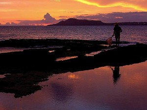 Honolulu Vacant Land w/ Ocean Views gallery
