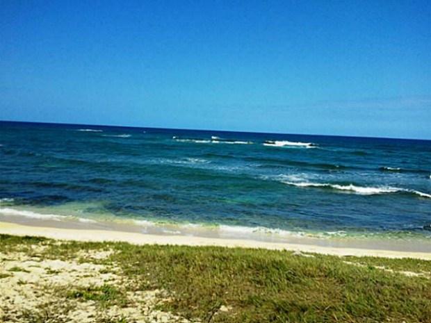 Photo for # 1211543
