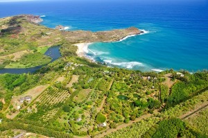 North Shore Land - Kauai gallery