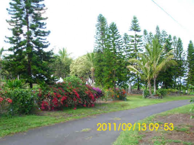 Photo for # 247789