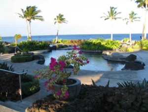 Halii Kai Condos gallery