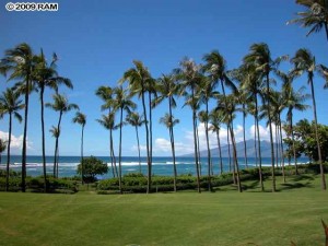 Maui Luxury Real Estate gallery